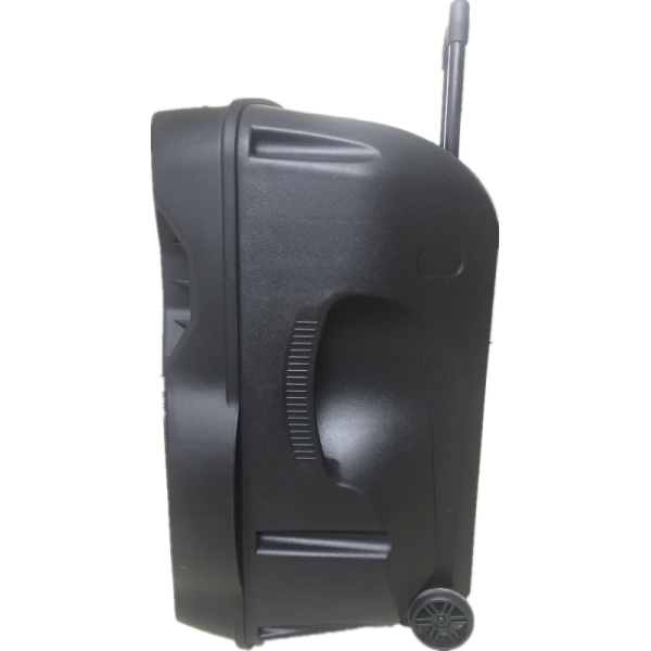 Temeisheng A12 12 Inch Subwoofer Portable Bluetooth Speaker със стойка 1