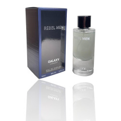Мъжки парфюм 12709 - Eau de parfum - 100ml PF210