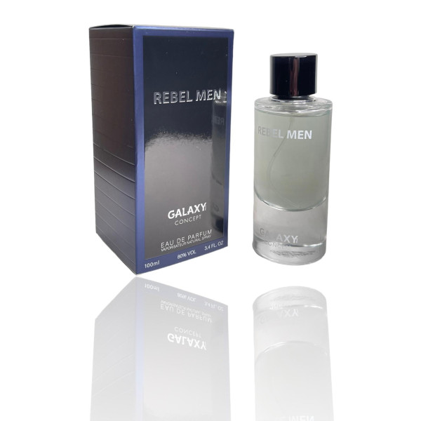 Мъжки парфюм 12709 - Eau de parfum - 100ml PF210 1