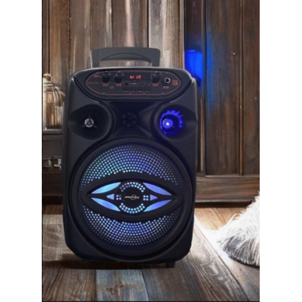 Преносима BluetootAh караоке тонколона 8'' с микрофон GTS-1700