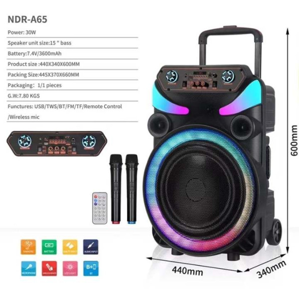 Караоке тонколона 15" Woofer NDR-A65