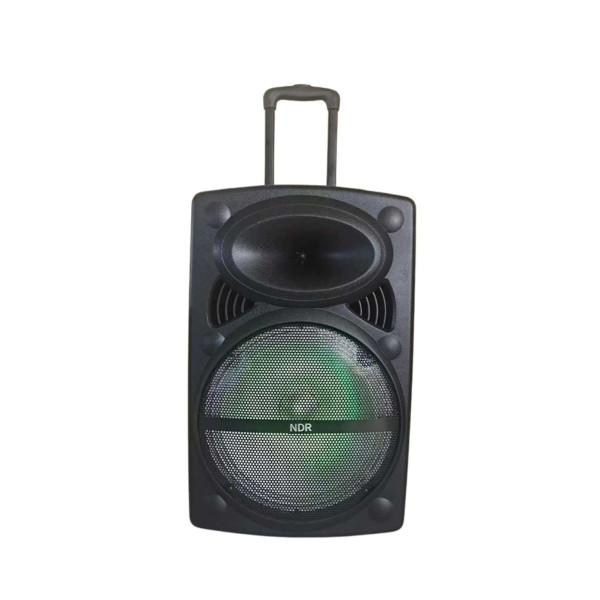 Караоке тонколона 12" Woofer NDR-12