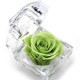 Вечна роза изключителен подарък за всяка жена YSH B