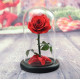 Вечно цвете  Розата "Красавицата и Звяра"  Every love YSH I 7