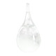 Буреносно стъкло Капка - Поргноза за времето - Творчески подарък за всеки TQY8B 16