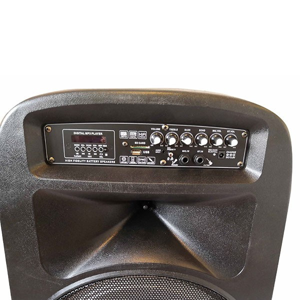 Тонколона Avcrowns V15 15 инча- два микрофона-Контрол отпред - Нов модел