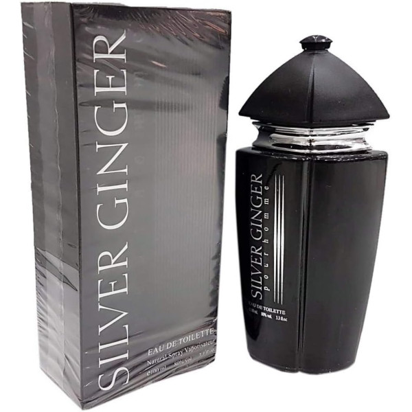 Парфюм Silver Ginger by BN, Unisex, Eau de toilette 100ml