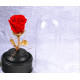 Вълшебна неувяхваща роза в стъкленица с LED светлина YSH J 1