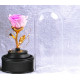 Вълшебна неувяхваща роза в стъкленица с LED светлина YSH J 2