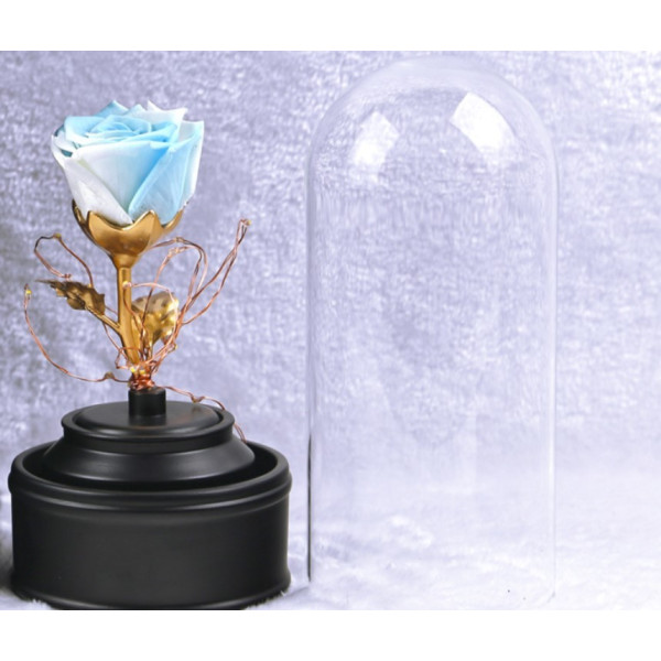 Вълшебна неувяхваща роза в стъкленица с LED светлина YSH J
