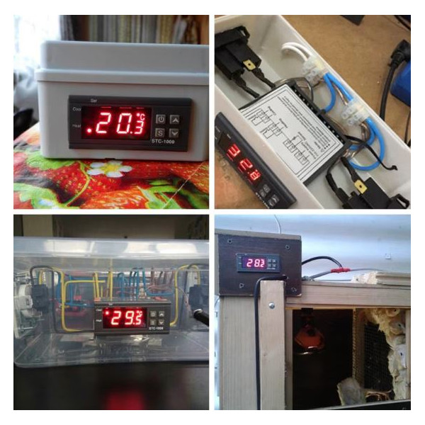 Температурен контролер STC-1000-24V, 10A с 1 сензор