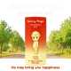Играчка изненада Sonny Angel 3