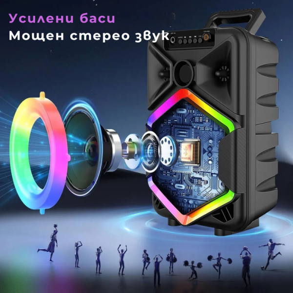 Преносима тонколона с микрофон, 8.5 инча, 1800 mAh батерия, 10W мощност WSJAR E8132W 4