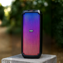 Активна тонколона Muhler MAX881R с два микрофона и дистанционно – мощен звук, без кабели и ограничения