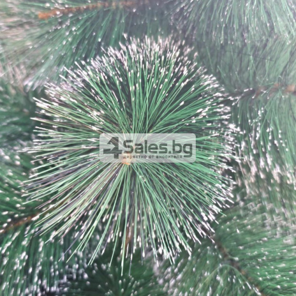 Коледна елха с бели, заскрежени връхчета SD42C