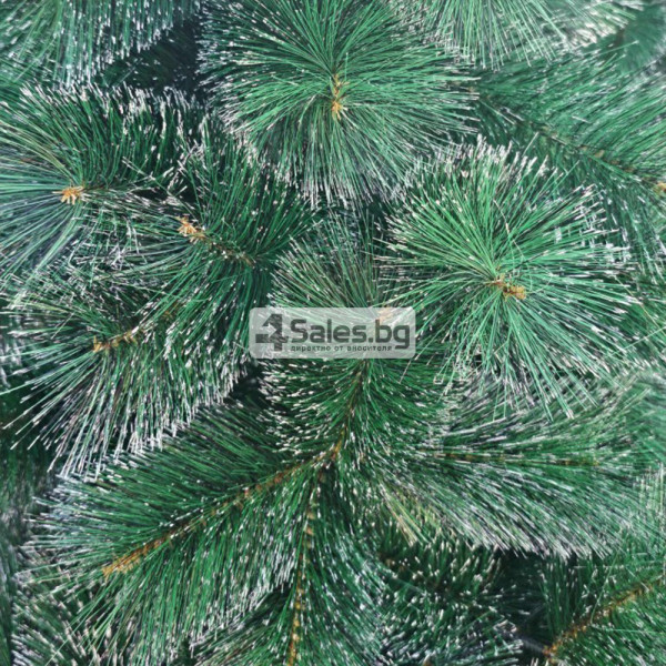 Коледна елха с бели, заскрежени връхчета SD42C 12