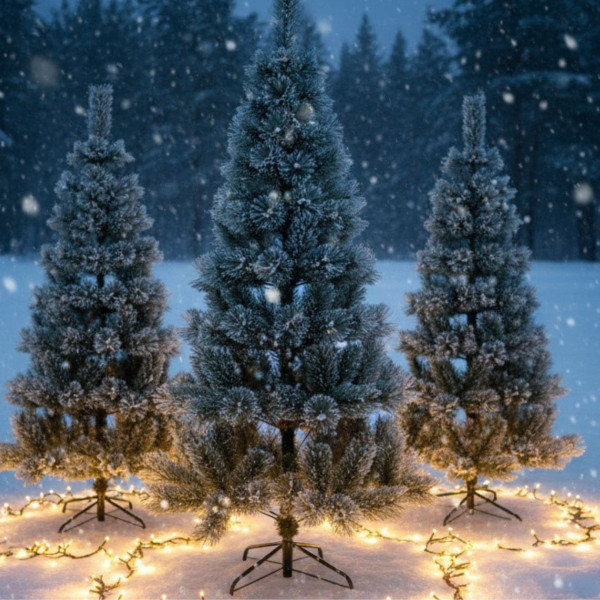 Коледна елха с бели, заскрежени връхчета SD42C