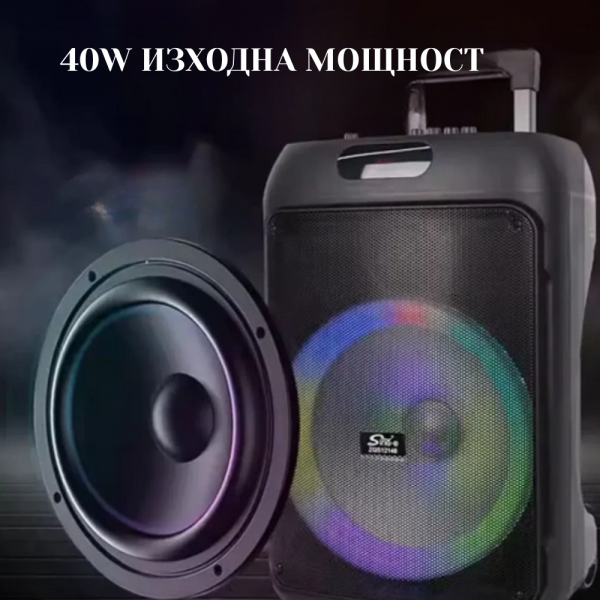 Преносима караоке тонколона Sing-e ZQS12148 (12") с мощен бас 4