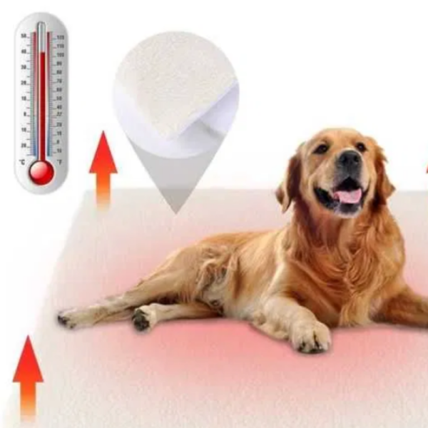Самонагряващо легло за домашни любимци – Уют и топлина за вашия любимец 5