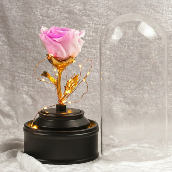Вълшебна неувяхваща роза в стъкленица с LED светлина YSH J 2