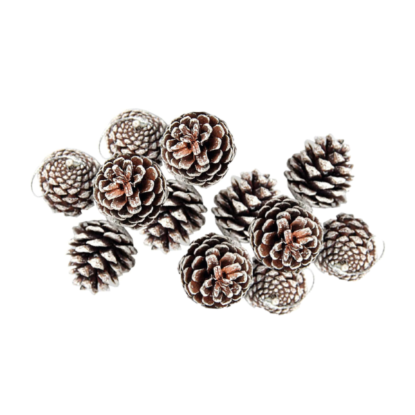 Комплект от 6 или 12 броя коледни шишарки 11