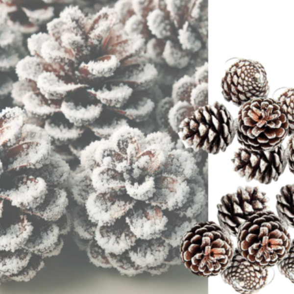 Комплект от 6 или 12 броя коледни шишарки