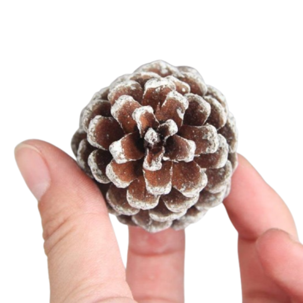 Комплект от 6 или 12 броя коледни шишарки 12