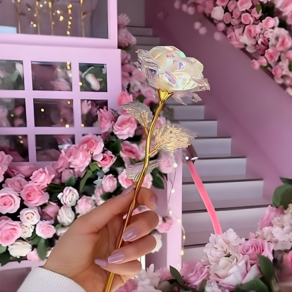 Роза в цветовете на дъгата – изискан подарък за любов и благодарност 1