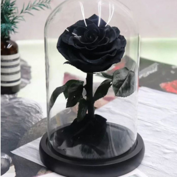 Вечно цвете  Розата "Красавицата и Звяра"  Every love YSH I 6