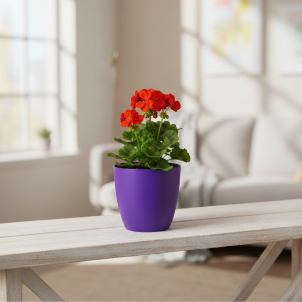 Саксия с поливна система Ø18×H16 см - за здрава коренова система 6