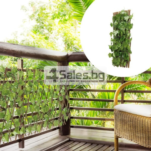 Декоративно преградно пано Бръшлян, 30 x 180 см 1