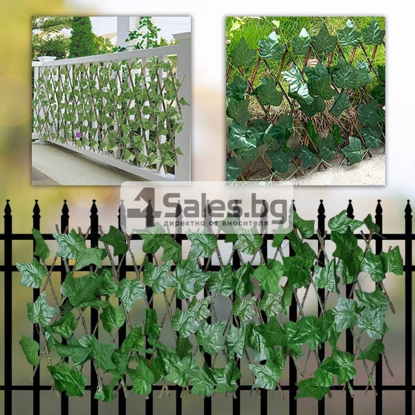 Декоративно преградно пано Бръшлян, 30 x 180 см