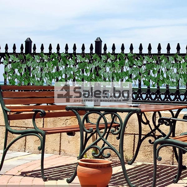 Декоративно преградно пано Бръшлян, 30 x 180 см 6