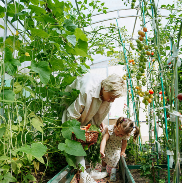 Здрава конструкция за оранжерия - поцинковани тръби и лесен монтаж 6