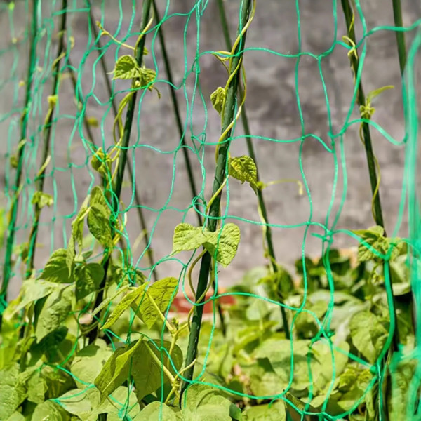 Мрежа за увивни растения и зеленчуци 1.2х20 м, Око 15х17 см – Идеална за краставици, боб, домати и цветя 2