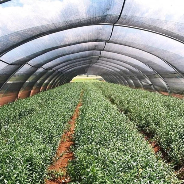 Засенчваща мрежа за ограда 1.5х25м, 60% засенчване, HDPE материал с UV защита