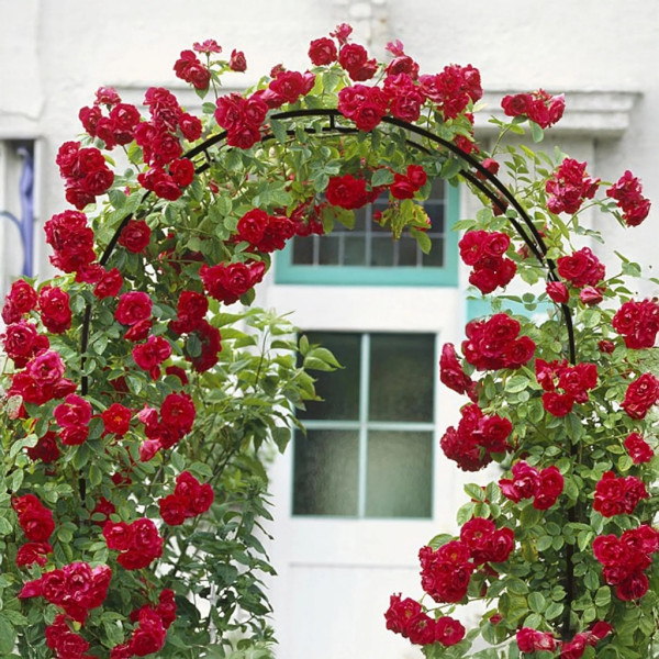 Декоративна градинска пергола тип арка – Опора за рози, лози и зеленчуци, устойчива на атмосферни условия