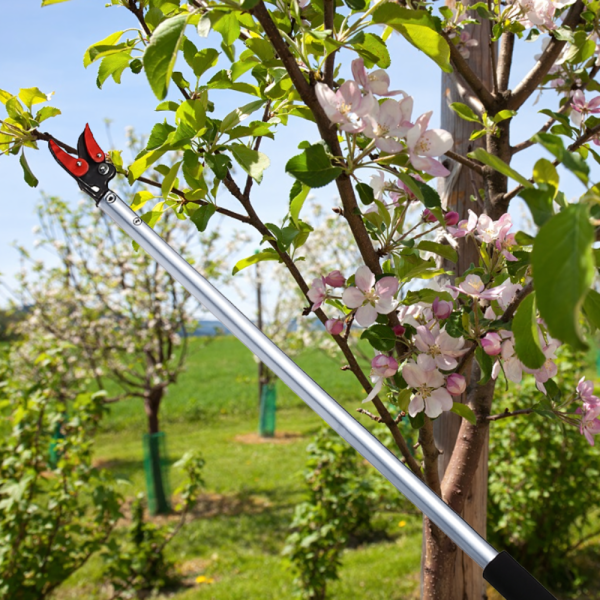 Ножица за клони и бране на плодове 100 см – прецизно рязане без стълба