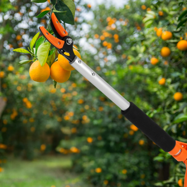 Ножица за клони и бране на плодове 100 см – прецизно рязане без стълба 4