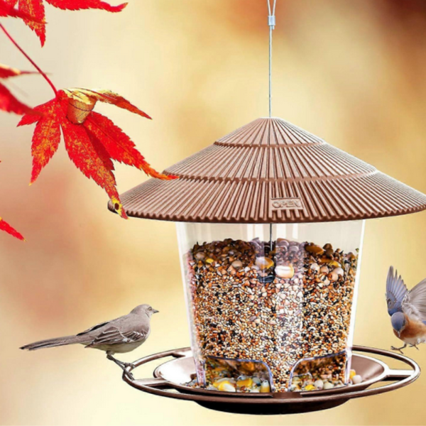 Устойчива хранилка за птици за външна употреба – Голям капацитет, защита от катерици и лесно почистване