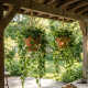 Комплект 5 бр. изкуствен бръшлян обща дължина 11.5 м – реалистична висяща декорация за стена, балкон и градина 5