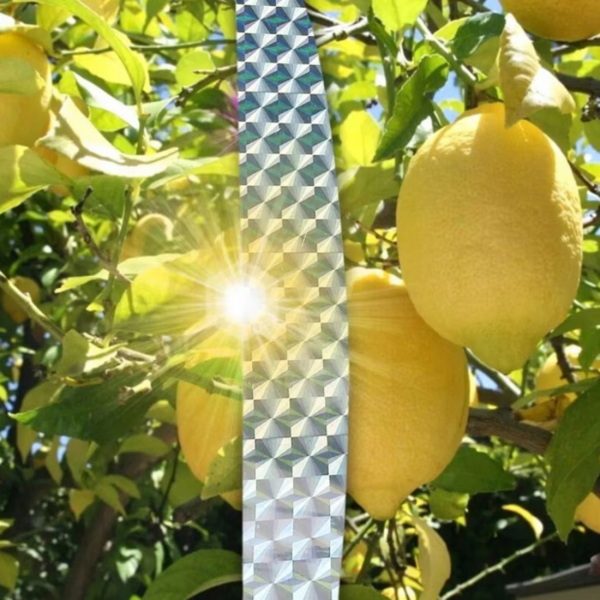 Холограмна лента против птици 50 м (4.5 см) – ефективна защита за градина, балкон и насаждения без химикали