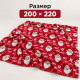 Коледно одеяло с Дядо Коледа 200x220 4