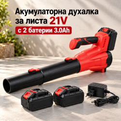 Акумулаторна духалка за листа 21V с 2 батерии 3.0Ah, 6 скорости и дълга дюза