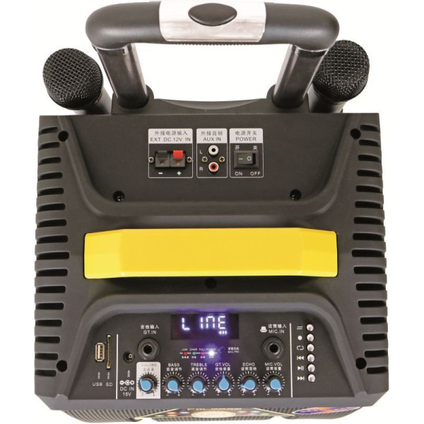 Temeisheng 10-инчов мощен високоговорител с безжичен микрофон QX-1014 7