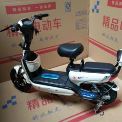 Електрически скутер с акумулаторна батерия, 48 волта, 14 инча MOTOR1 2
