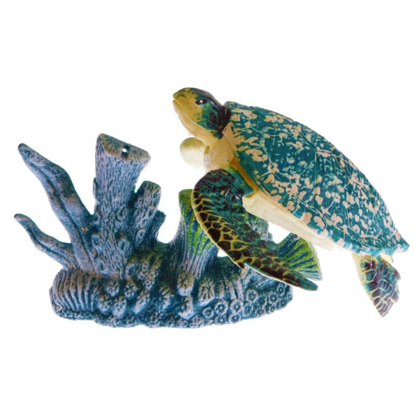 Океански свят - зелена морска костенурка