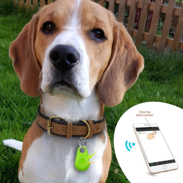 Водоустойчив Bluetooth нашийник за кучета и домашни любимци F B