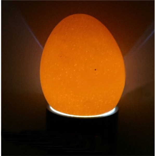 LED Фенерче за тестване на развитието на яйце FL44