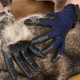 Меки каучукови ръкавици за разресване на домашни любимци TV1077 8